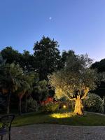 Vonkajšia záhrada v ubytovaní Parco Hotel Sassi