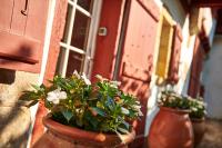 Budynek, w którym mieści się obiekt B&B
