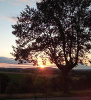 a tree with the sunset in the background at La maison du pech in Monteils