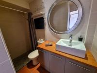 a bathroom with a sink and a mirror and a toilet at I Love Perpignan Duplex Terrasse in Perpignan
