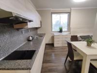 Kuchyň nebo kuchyňský kout v ubytování FREE WELLNESS & SPA MULTIMEDIA APARTMENT - SNÍDANĚ V CENĚ - ZDARMA VSTUP DO WELLNESS, VÍŘIVÉ VANY, SOLNÁ SAUNA, FINSKÁ SAUNA, PARNÍ SAUNA, MASÁŽE, PLAYSTATION 5 a HRY, SKLEP, MODERNÍ VYBAVENÍ, PARKOVÁNÍ ZDARMA, VYBAVENÍ PRO DĚTI, KLIDNÁ LOKALITA