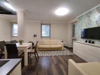 TV a/nebo společenská místnost v ubytování FREE WELLNESS & SPA MULTIMEDIA APARTMENT - SNÍDANĚ V CENĚ - ZDARMA VSTUP DO WELLNESS, VÍŘIVÉ VANY, SOLNÁ SAUNA, FINSKÁ SAUNA, PARNÍ SAUNA, MASÁŽE, PLAYSTATION 5 a HRY, SKLEP, MODERNÍ VYBAVENÍ, PARKOVÁNÍ ZDARMA, VYBAVENÍ PRO DĚTI, KLIDNÁ LOKALITA