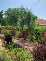 A garden outside Villa Miranda