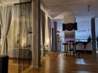 Televízia a/alebo spoločenská miestnosť v ubytovaní Apartman Atelier