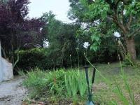 Vonkajšia záhrada v ubytovaní Maison spacieuse 4 pièces, 6 couchages avec jardin privé - 500m des plages - Internet inclus - FR-1-224B-164