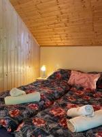 Posteľ alebo postele v izbe v ubytovaní Holiday Home Asja Lukovo Bribir