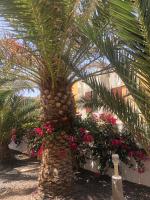 Zahrada ubytování Apartamento PARADISE Amaya