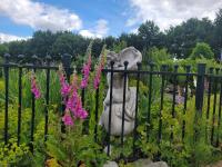 Zahrada ubytování Villa Teun