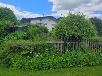 Zahrada ubytování Villa Teun