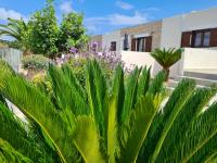 A garden outside Olivar Suites