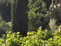 A garden outside Vistalago Garden Doria