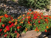 A garden outside Vistalago Garden Doria