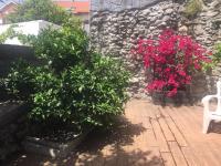 A garden outside vivienda vieja cepa