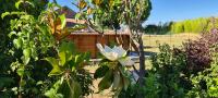 Vonkajšia záhrada v ubytovaní MAS GABELYS superbe vue SAINTE VICTOIRE jardin terrasse et piscine