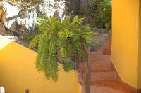 Ogród w obiekcie Hotel Jardín Concha