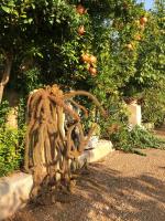 Ogród w obiekcie Giardino Frannicola
