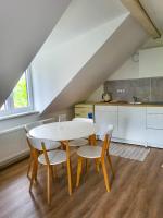 Kuchyň nebo kuchyňský kout v ubytování Apartmány u Koláčků
