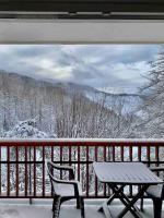 a table and chairs on a balcony with snow covered trees at Valberg 8 couchages cocon familial in Guillaumes