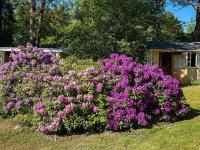 Půdorys ubytování Holiday home Rørvig XVI
