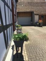 Ogród w obiekcie Bienvenue en Alsace