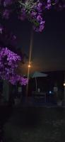 A garden outside La collina sui trabocchi