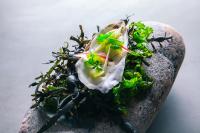 Rosfjord Strandhotel في لينغدال: قطعة طعام تحتوي على خضراوات على صخرة