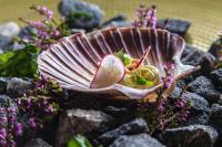 Rosfjord Strandhotel في لينغدال: صدفة نبات على الصخور ذات أزهار أرجوانية