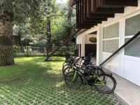 Rowery dostępne w obiekcie Bárka a Tiszához apartman lub w pobliżu
