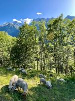 Gallery image of Chalet Altus in Sainte-Foy-Tarentaise