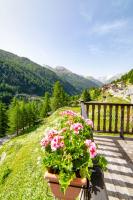 a potted plant sitting on a bench overlooking a valley at Hotel & Restaurant Perret - Mountain People in Valgrisenche