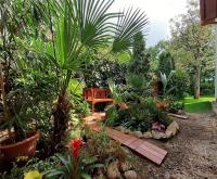 Vonkajšia záhrada v ubytovaní House w little tropical garden