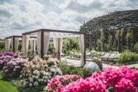 Zahrada ubytování Resort Čapí Hnízdo
