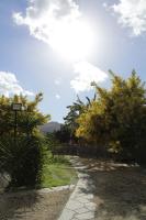 Príroda v okolí of the country house