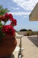 Príroda v okolí of the country house