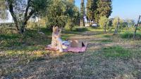 Vonkajšia záhrada v ubytovaní Il Castagnolo Country B&B