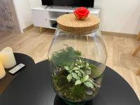 Televízia a/alebo spoločenská miestnosť v ubytovaní Trog'Love: Balnéo détente dans une troglodyte