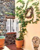 Zahrada ubytování Bougainville House