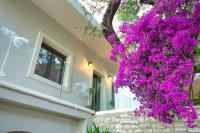 Zahrada ubytování Villa Magdalena