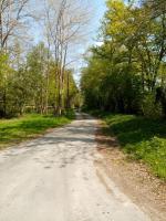 Gallery image of Entre forêts et prairies in Le Cercueil