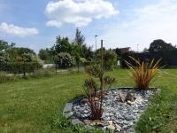 a garden with two plants and rocks in a yard at Maison Le Tour-du-Parc, 4 pièces, 6 personnes - FR-1-639-51 in Le Tour-du-Parc