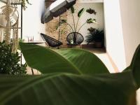Zahrada ubytování Apartamentos Élite - Art Collection - Frida
