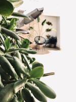 Půdorys ubytování Apartamentos Élite - Art Collection - Frida