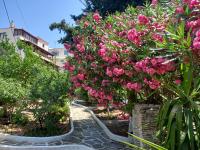 Zahrada ubytování Villa Rena