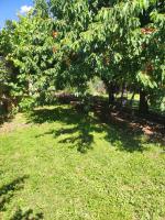 A garden outside Albergue Santa Ana