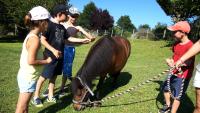 a group of young people standing around a horse at Le Hameau des Genets in Montlaur