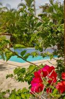 Bazén v ubytování Escape Beach Villa in El Portillo nebo v jeho okolí