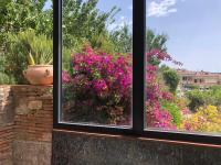 A garden outside Appartamento in collina a 15 minuti dal mare