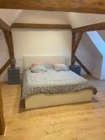 1 dormitorio con 1 cama en el ático en Gîte Elisa et léna, en Riquewihr