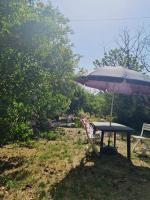 Vonkajšia záhrada v ubytovaní La Casetta in Collina - a pochi Km dal mare (Pe)