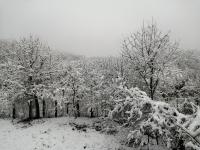 Borlova /Muntele Mic tokom zime